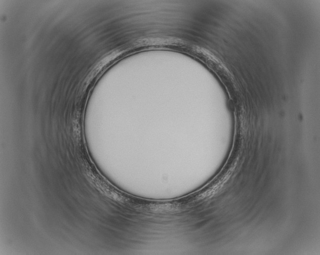 X0000069381025200606091646