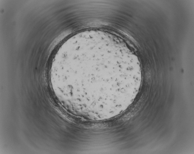 X0000069381026200606091646