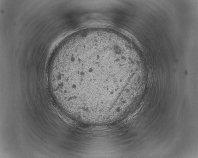 X0000069381027200606091646