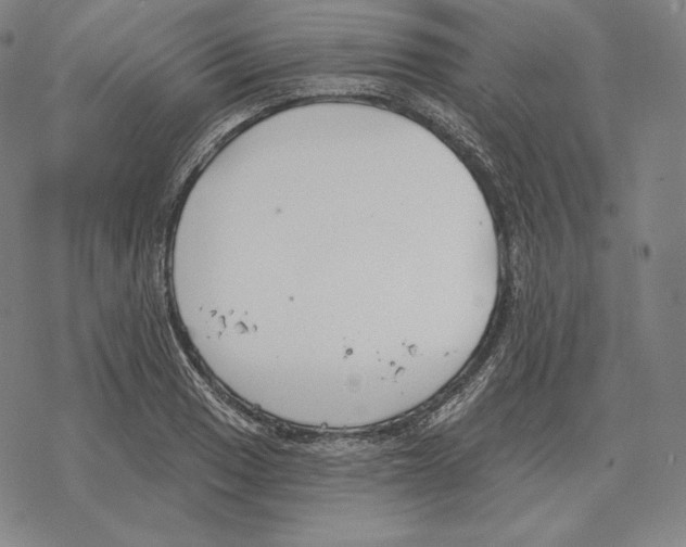 X0000069381033200606091646