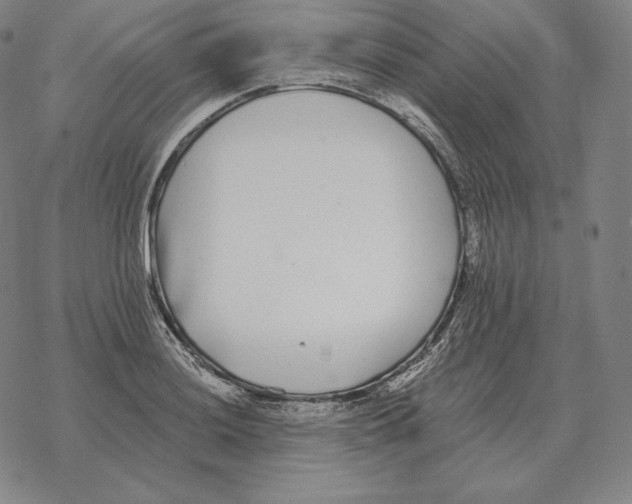 X0000069381036200606091646