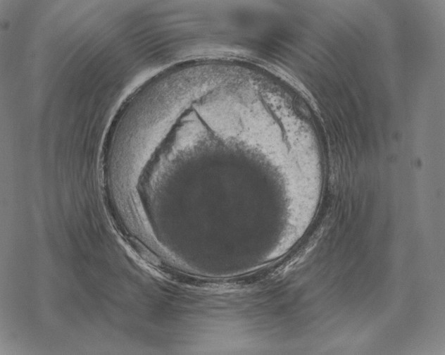 X0000069381037200606091646