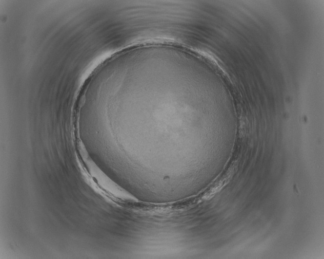 X0000069381038200606091646