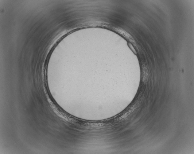 X0000069381039200606091646