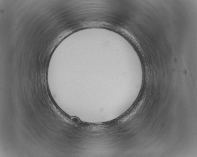 X0000069381041200606091646