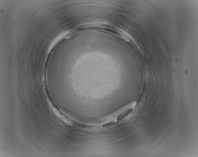 X0000069381042200606091646