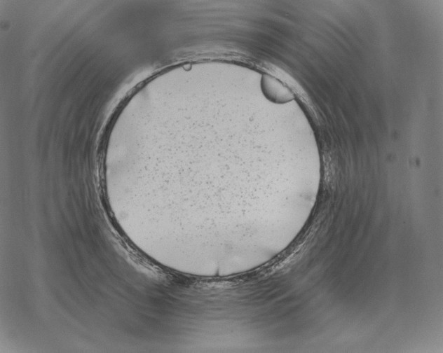 X0000069381043200606091646