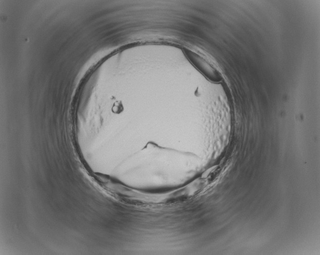 X0000069381045200606091646