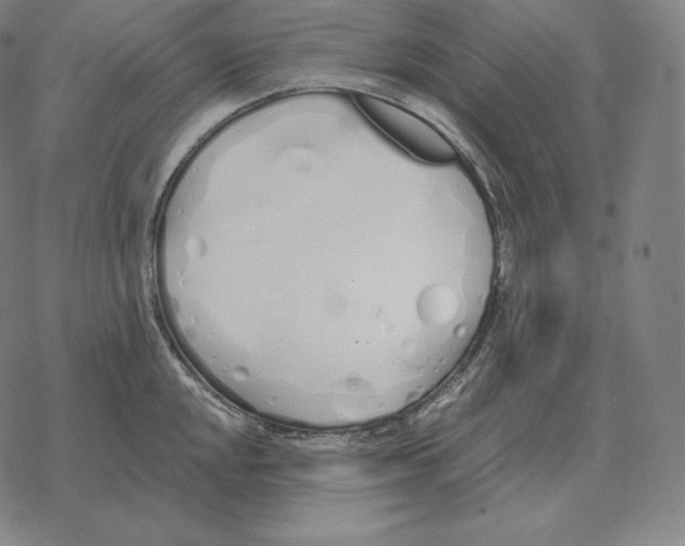 X0000069381048200606091646