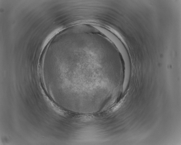 X0000069381050200606091646