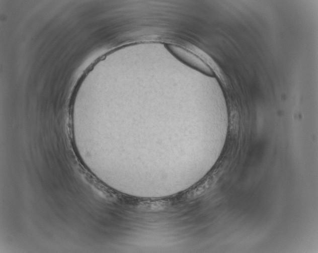 X0000069381051200606091646