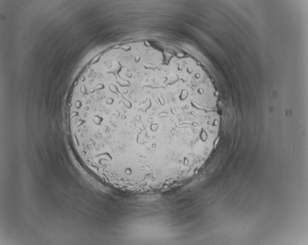 X0000069381055200606091646