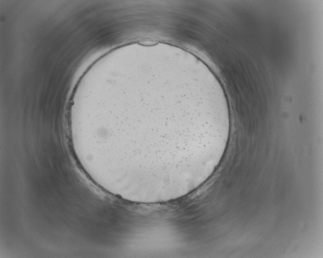 X0000069381056200606091646