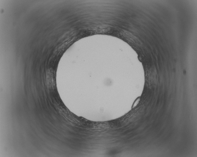 X0000069381058200606091645