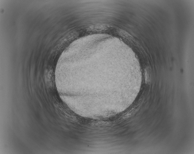 X0000069381059200606091645