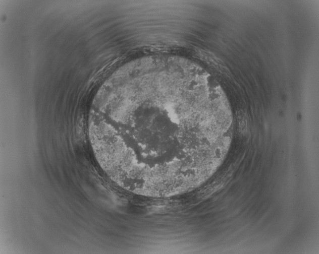 X0000069381060200606091645