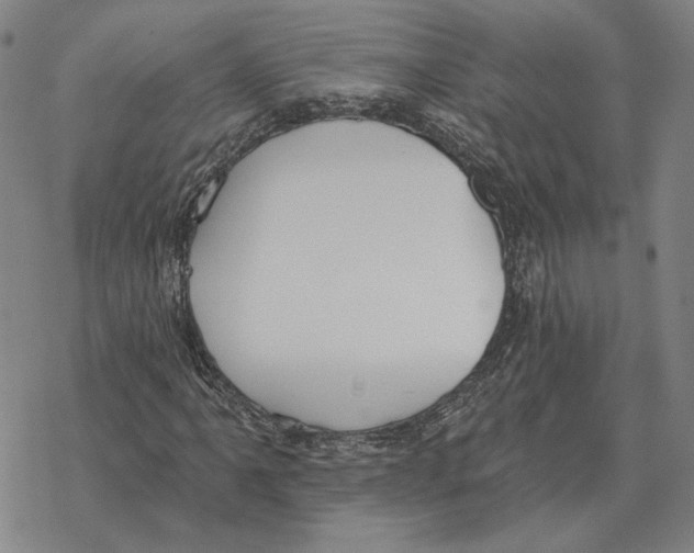 X0000069381061200606091645