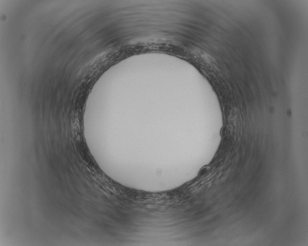 X0000069381062200606091645