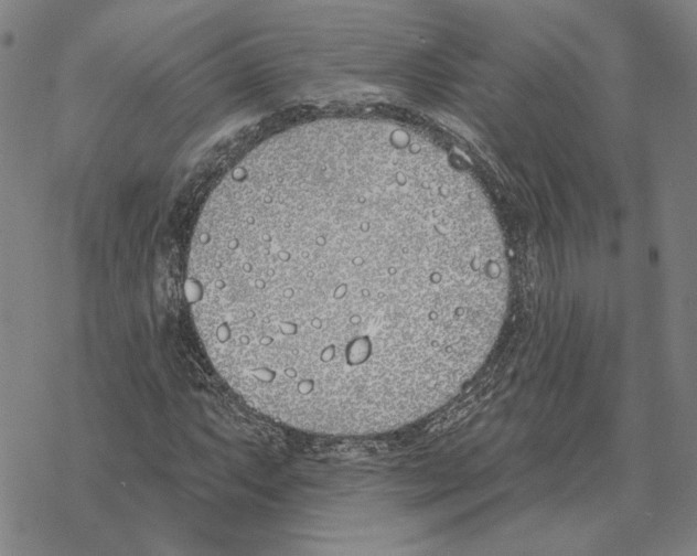 X0000069381063200606091645