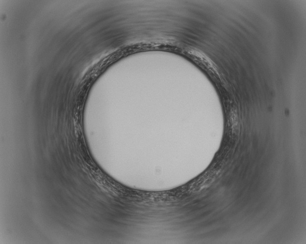 X0000069381064200606091645