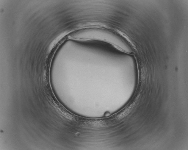 X0000069381066200606091645