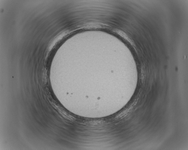 X0000069381067200606091645