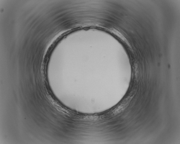 X0000069381068200606091645