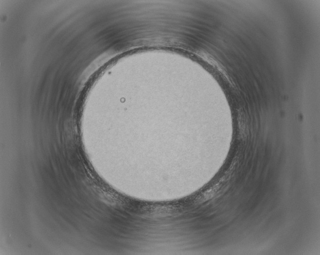 X0000069381070200606091645