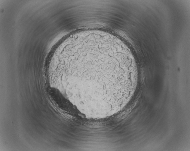 X0000069381071200606091645