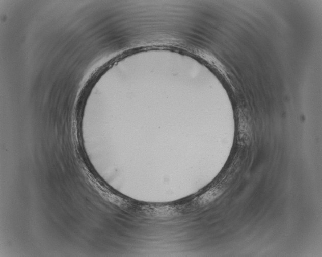 X0000069381072200606091645