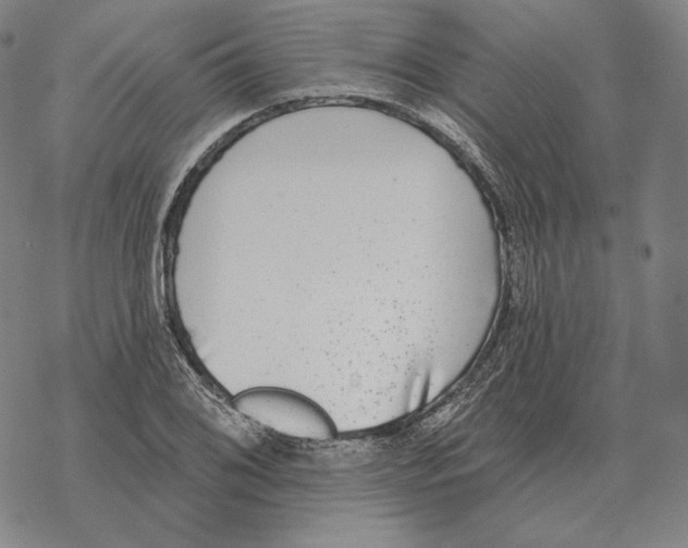 X0000069381076200606091645