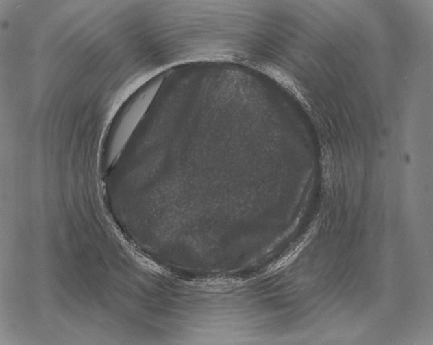 X0000069381077200606091645