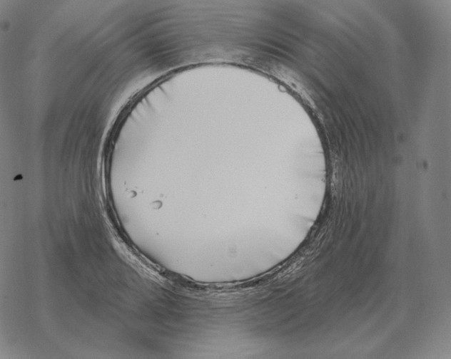 X0000069381080200606091645