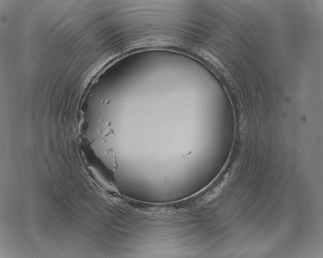 X0000069381081200606091645