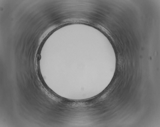 X0000069381082200606091645