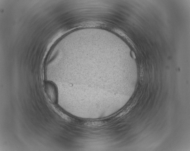 X0000069381083200606091645