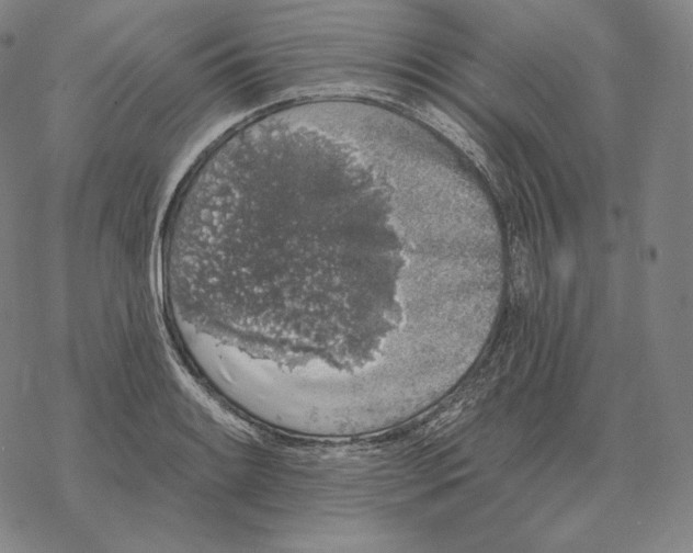 X0000069381084200606091645