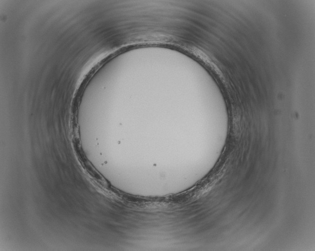 X0000069381085200606091645