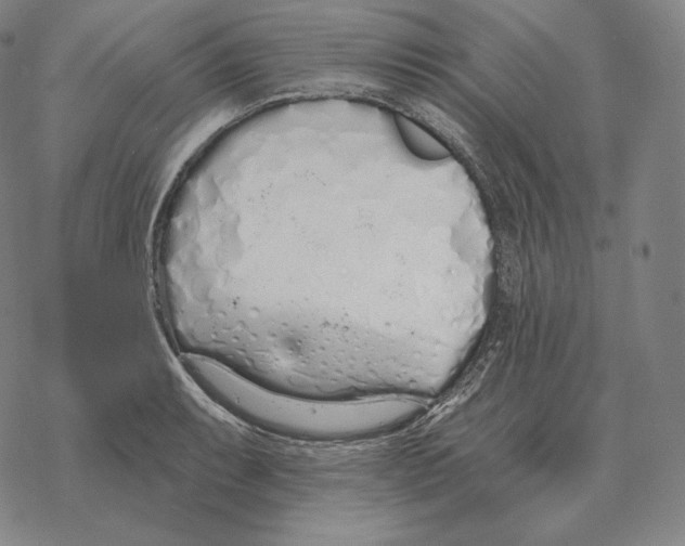 X0000069381087200606091645