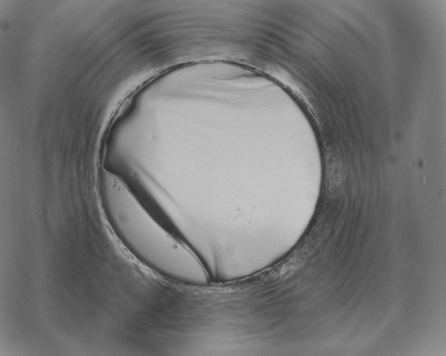 X0000069381088200606091645