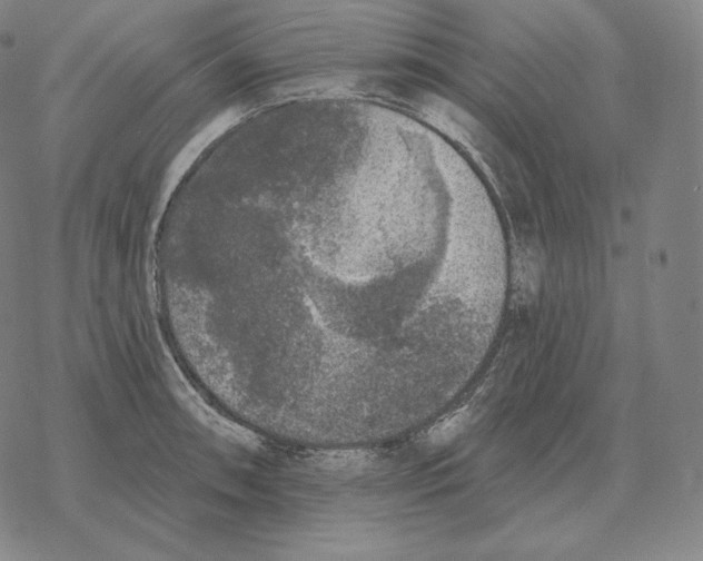 X0000069381090200606091645