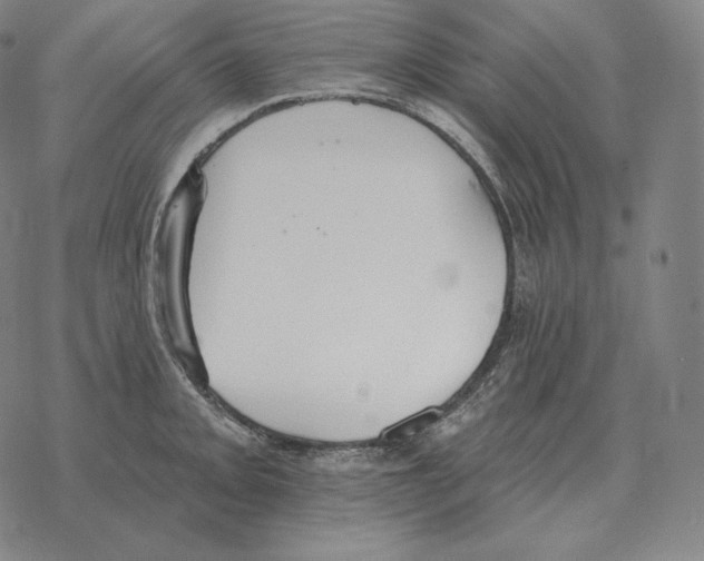 X0000069381093200606091645