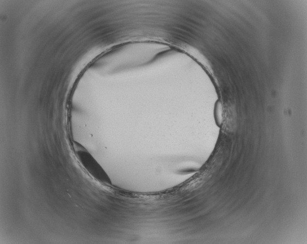 X0000069381096200606091645