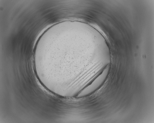 X0000069381100200606091645