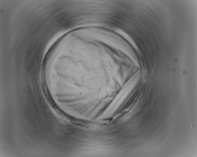 X0000069381101200606091645