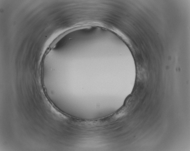 X0000069381102200606091645