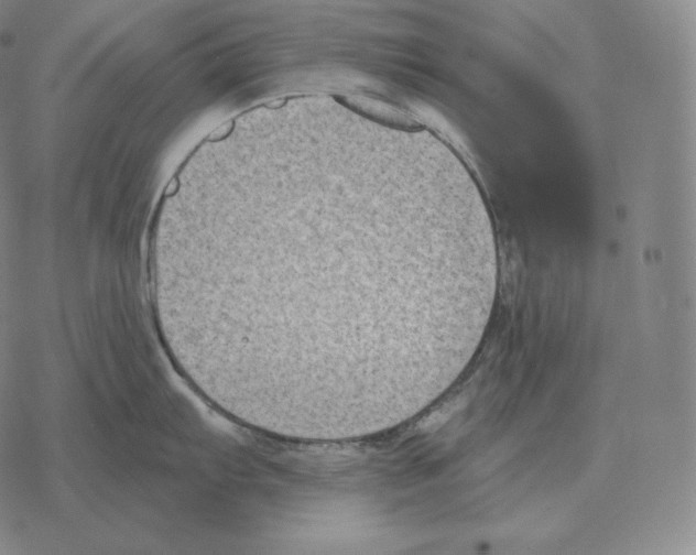 X0000069381103200606091645