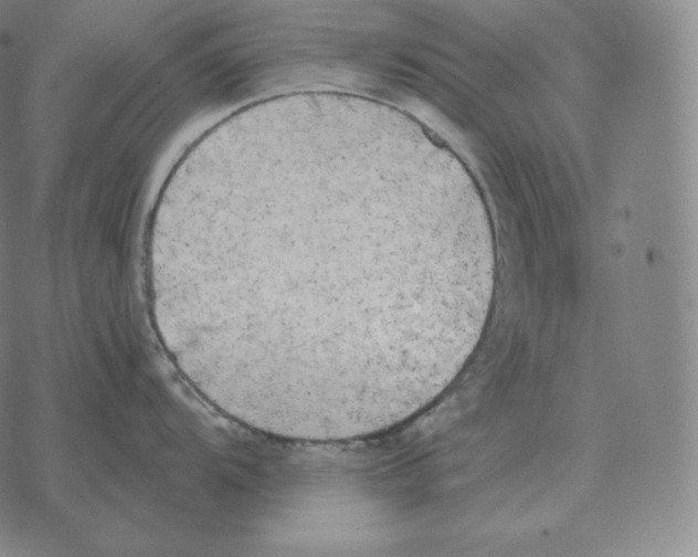 X0000069381104200606091645