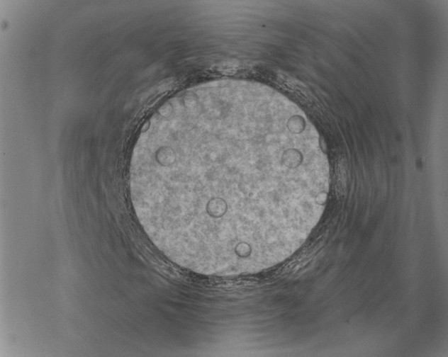 X0000069381105200606091644