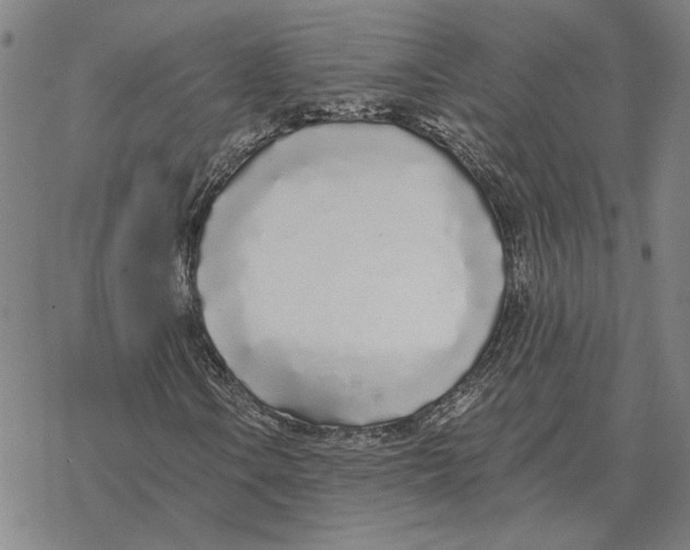 X0000069381106200606091644